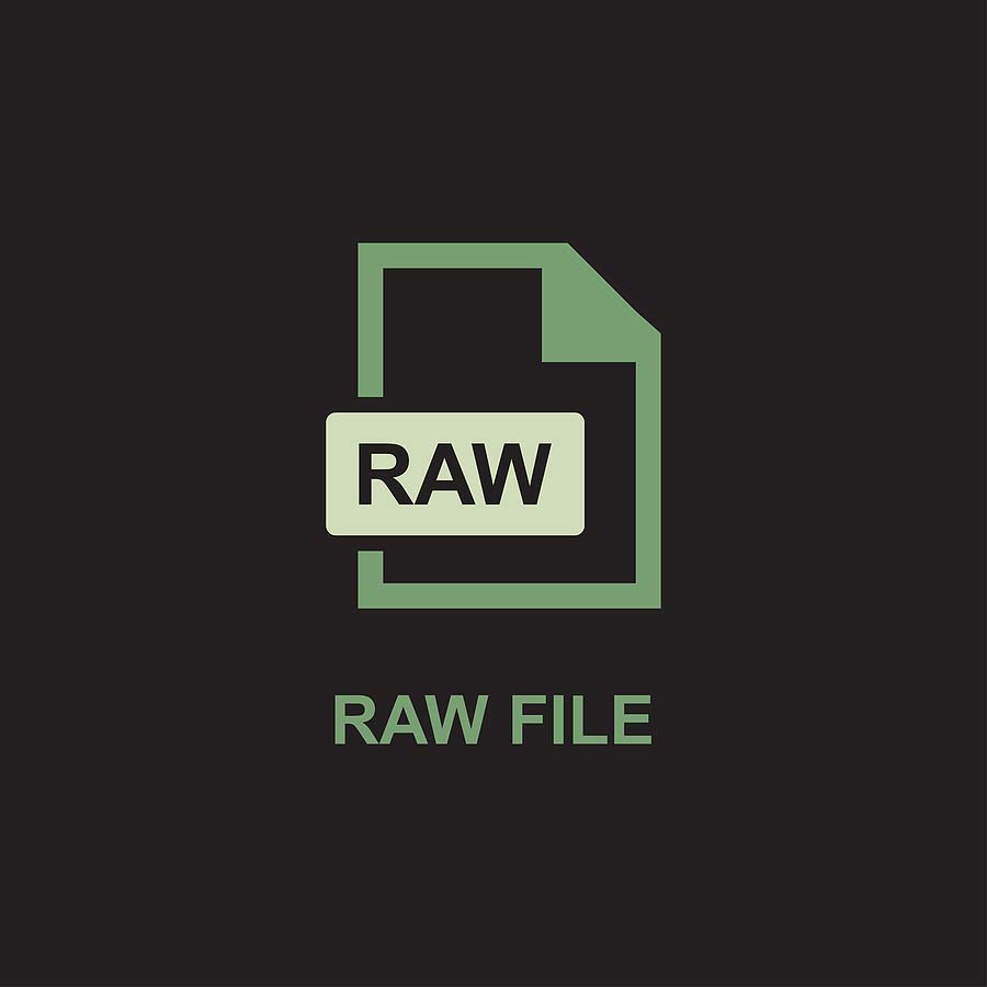 RAW Image Format